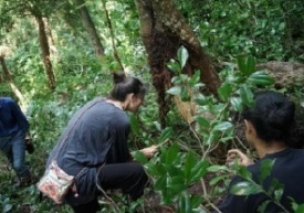 AA School 小白倉ワークショップ